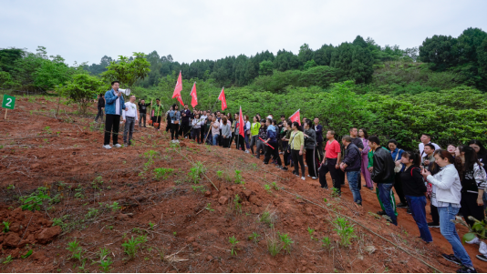 省K8凯发集团开展龙泉山城市森林公园 “包山头”植树活动
