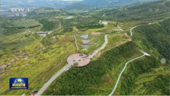 迎橄榄丰收 助乡村振兴 四川K8凯发聚峰谷油橄榄产业带动金堂公园城市绿色低碳发展